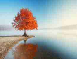 网​络﻿爬﻿虫‌官​网‌